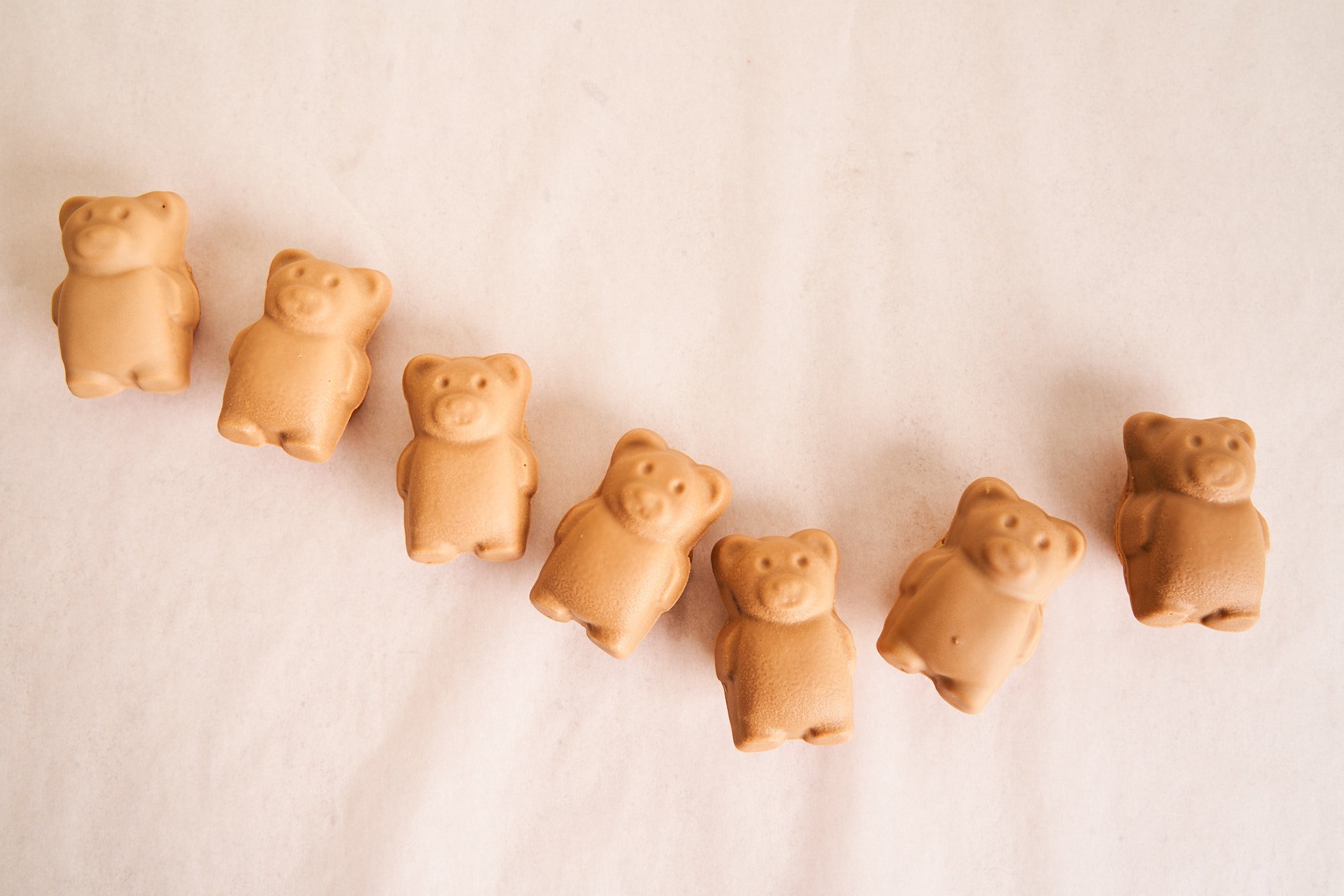 Teddy Bear Duo - Large Scale Orders — Lysee NYC